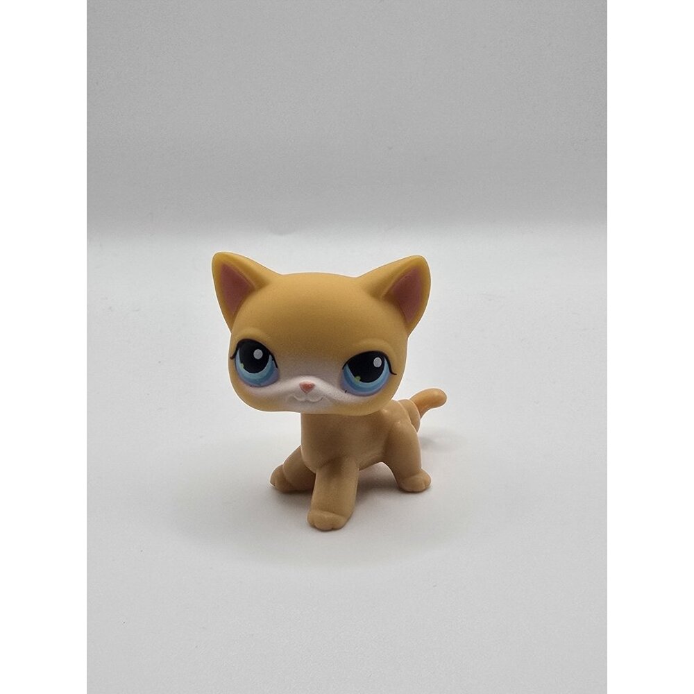 Littlest Pet Shop LPS Hasbro #71 Orange Shorthair Cat Blue Eyes 2004 Authentic